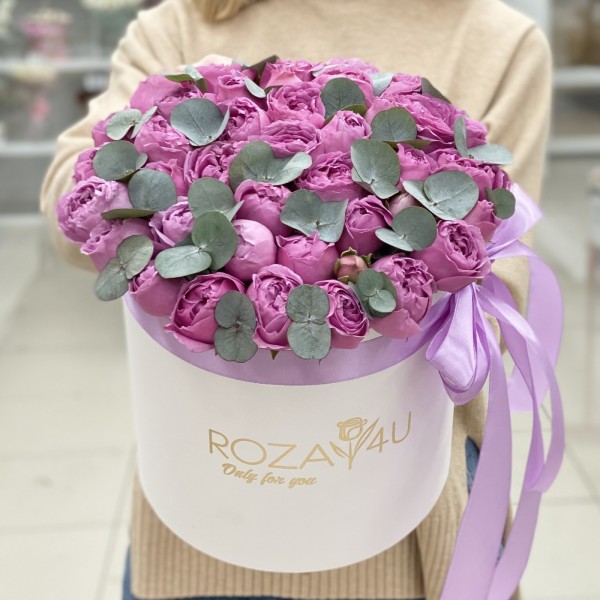 Мисти Баблс с эвкалиптом в коробке